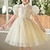 cheap Party Dresses-Kids Girls&#039; Party Dress Solid Color Short Sleeve Special Occasion Princess Sweet Polyester Summer Spring 3-12 Years White Champagne