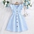 cheap Dresses-Fresh Striped Flying Sleeve V-Neck Waist-Tied Dress For Party Outdoor Casual Fashion