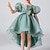 abordables Robes de fête-Enfants Fille Robe de fête Couleur unie Manche Courte Occasion spéciale Princesse Polyester robe soirée Eté Printemps 3-12 ans Rose Claire Vert