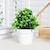 ieftine Flori Artificiale &amp; Vase-plantă în ghiveci de lotus în miniatură realistă