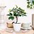 billige Kunstige blomster og vaser-legg naturlig sjarm til hjemmeinnredningen din med naturtro ficusblad potteplanter, perfekt for å skape en rolig og rolig atmosfære