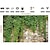 זול דגלים ואנרים חיצוניים-1 יחידת עלי גן אביבי נושרים צמחי גננות גראנג&#039; קיר אבן באנר ירוק עלים וענפים המכסים רקע צילום אדריכלות וינטג&#039;
