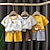 cheap Sets-Children&#039;s Short sleeved Set 24 Summer New Boys&#039; Pure Cotton T-shirt Shorts Korean Edition Women&#039;s Baby Clothing Children&#039;s Clothing