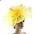 cheap Headpieces-Fascinators Hats Headwear Organza Fedora Hat Top Hat Veil Hat Horse Race Cocktail Elegant Retro With Feather Pure Color Headpiece Headwear