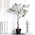 cheap Artificial Flowers &amp; Vases-Elevate Your Home Decor with Lifelike Grapefruit Tree Potted Plants, Bringing a Refreshing Citrus Scent and Natural Beauty into Your Living Space