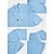 お買い得  コットンリネンシャツ-男性用 シャツ リネンシャツ ２個 シャツセット ホワイト ブルー グリーン 半袖 平織り カラー 夏 春 アウトドア ストリート 衣類 ポケット
