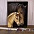 billiga måleri, teckning och konsttillbehör-DIY akrylmålningssats hästar oljemålning efter siffror på duk för vuxna unik present heminredning 20 * 16 tum