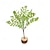 levne Umělé rostliny-boston kapradina simulovaná kapradina zeleň měkká pryž železný drát perská tráva korálové listy domácí dekorativní umělá rostlina nástěnná dekorace falešné květiny