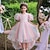 Χαμηλού Κόστους Φορέματα για πάρτι-Παιδιά Κοριτσίστικα Φόρεμα Φόρεμα για πάρτυ Πούλια Κοντομάνικο Ειδική Περίσταση Φόρεμα βάπτισης Φουσκωτό Μανίκι Πριγκίπισσα Πανεμορφη Δίχτυ Μίντι Καλοκαίρι Άνοιξη Φθινόπωρο 3-12 χρόνια Πολύχρωμο