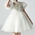 cheap Party Dresses-Kids Girls&#039; Party Dress Sequin Star Short Sleeve Wedding Special Occasion Sequins Tassel Fringe Mesh Adorable Sweet Cotton Polyester Knee-length Party Dress Summer Spring Fall 4-12 Years White Pink