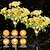 levne Světla cesty &amp; lucerny-solární led karafiát květina zahrada světlo trávník krajina světlo venkovní voděodolná výzdoba nádvoří chodník parková dekorace 1/2ks