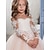 Χαμηλού Κόστους Φορέματα για πάρτι-Παιδιά Κοριτσίστικα Φόρεμα για πάρτυ Συμπαγές Χρώμα Μακρυμάνικο Επίδοση Δίχτυ Πριγκίπισσα Γλυκός Δίχτυ Μέχρι τη μέση της γάμπας Φόρεμα σε ευθεία γραμμή Φόρεμα τούλι Καλοκαίρι Άνοιξη Φθινόπωρο 2-12