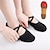 preiswerte Tanzbekleidung-Damen Ballettschuhe mit dickem Absatz + Flats 2 Paar Set Ballsaal Schuhe Training Leistung Praxis Absatz dicker Absatz Gummiband Slip-on