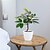 billige Kunstige blomster og vaser-legg naturlig sjarm til hjemmeinnredningen din med naturtro ficusblad potteplanter, perfekt for å skape en rolig og rolig atmosfære