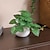 billige Kunstige blomster og vaser-Forbedre hjemmeinnredningen din med naturtro kunstige plantepotter, og tilfører grønt og naturlig skjønnhet til ethvert rom