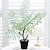 abordables Fleurs artificielles et vases-Plante artificielle en pot d&#039;arbre de jacaranda - faux jacaranda bleu réaliste pour la décoration de la maison et du bureau