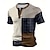 お買い得  メンズヘンリーTシャツ-チェック デザイナー 男性用 3Dプリント Tシャツ ヘンリーシャツ カジュアル 日常 Tシャツ ホワイト 半袖 ヘンリー シャツ 夏 衣類 S M L XL XXL 3XL