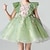 cheap Party Dresses-Kids Girls&#039; Party Dress Sequin Flower Sleeveless Wedding Special Occasion Ruched Mesh Zipper Adorable Sweet Cotton Polyester Knee-length Party Dress Summer Spring Fall 3-12 Years Green