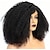 abordables Pelucas naturales de malla-Peluca de cabello humano para mujeres, pelucas rizadas afro de densidad 180%, pelucas 100% de cabello humano, pelucas de cabello afro sin encaje frontal para mujeres negras