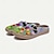 cheap Graphic Print Shoes-Women&#039;s Flats Slippers Slip-Ons Print Shoes Canvas Shoes Daily Vacation Travel Floral Contrast Color Flowers Buckle Flat Heel Round Toe Vacation Casual Comfort Canvas Loafer Buckle Colorful