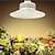 رخيصةأون مصابيح نمو النباتات-ضوء نمو النبات LED تقليد ضوء LED 36 واط/50 واط/100 واط لتحسين ثقافة الخضروات 220 فولت e27