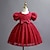 Χαμηλού Κόστους Φορέματα-Νήπιο Κοριτσίστικα Φόρεμα για πάρτυ Γραφική Κοντομάνικο Επέτειος Χριστούγεννα χαριτωμένο στυλ Πριγκίπισσα Πολυεστέρας Καλοκαίρι Άνοιξη Φθινόπωρο 3-7 Χρόνια Κρασί