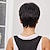 tanie Peruki bez czepka z ludzkich włosów-Krótkie fryzury typu pixie Bob peruki z ludzkich włosów proste czarne brązowe włosy remy dla kobiet naturalna peruka warstwowa z grzywką peruka