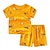 preiswerte Sets-2 Stück Baby Jungen T-Shirt &amp; Shorts Outfit Karikatur Kurzarm Baumwolle Set Outdoor Modisch Täglich Sommer Frühling 3-7 Jahre Weiß Champagner Gelb