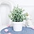 Недорогие Искусственные цветы и вазы-Реалистичное искусственное денежное растение в горшке