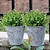 Χαμηλού Κόστους Ψεύτικα Λουλούδια-10 κλαδιά τεχνητά φυτά εξωτερικού χώρου Μπουκέτο με ευκάλυπτο και φύλλα χρημάτων με 7 μίσχους: τεχνητό πράσινο για διακόσμηση τοίχων, γάμους, εξωραϊσμό κήπων και σκηνικά εκδηλώσεων