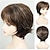 cheap Older Wigs-Short Ash Blonde Wigs for White Women Blonde Pixie Cut Wigs with Bangs Synthetic Short Hair Wig Blonde Light Brown Brown Dark Brown Gray