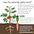 Χαμηλού Κόστους Κηπουρική-Συσκευές ποτίσματος φυτών 4 συσκευασιών τερακότα διακοπών φυτό ποτιστής μπουκάλι κρασιού πασσάλους ποτίσματος αργής απελευθέρωσης αιχμές ποτίσματος φυτών τέλειες συσκευές αυτοποτίσματος για φυτά