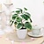 お買い得  造花＆花瓶-本物そっくりのユーカリの鉢植えで家の装飾を充実させ、生活空間に爽やかな緑のタッチを加えます。