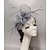 cheap Fascinators-Fascinators Headwear Headpiece Net Veil Hat Wedding Ladies Day With Floral Ruffles Headpiece Headwear