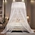abordables Ciels de lit et rideaux-Moustiquaire romantique en dentelle, petite moustiquaire pour enfants, tente, moustiquaire à double pont en gaze
