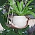 رخيصةأون التخزين والتنظيم-قطعة واحدة من وعاء النبات المتأرجح برأس من الراتنج المعلق للنباتات العصارية المعلقة على شكل وجه متأرجح، وعاء النبات على شكل أرجوحة، وعاء زهور صغير لطيف على شكل وجه مبتسم من الراتنج للنباتات الداخلية