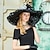 preiswerte Faszinator-Fascinator-Hüte Organza-Schlapphut Sonnenhut Hochzeit Teeparty elegante Hochzeit mit Federspitze seitlich Kopfbedeckung Kopfbedeckung