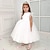 cheap Party Dresses-Kids Girls&#039; Party Dress Solid Color Sleeveless Performance Mesh Princess Sweet Mesh Mid-Calf Sheath Dress Tulle Dress Summer Spring Fall 2-12 Years White