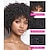 abordables Pelucas naturales de malla-pelucas rizadas cortas para mujeres negras ninguna peluca de corte pixie de encaje pelucas de cabello humano corto para mujeres negras pelucas de corte pixie de cabello humano pelucas hechas completas