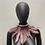 cheap Historical &amp; Vintage Costumes-Punk &amp; Gothic Cosplay Costume Shawls Feather Cape Witch Women&#039;s Feather Halloween Performance Party / Evening Shawl