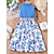 cheap Dresses-Kids Girls&#039; Dress Floral Sleeveless Casual Fashion Daily Polyester Knee-length Summer 7-13 Years Blue