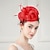 tanie Kapelusze i fascynatory-opaski na głowę fascynatory kapelusze sinamay melonik / kapelusz kloszowy kapelusz ze spodkiem kapelusz ślub spotkanie przy herbacie elegancki ślub z piórami kwiatowy nakrycie głowy nakrycia głowy