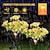 Χαμηλού Κόστους Διαδρομές και φανάρια-ηλιακό led γαρύφαλλο λουλούδι κήπου ελαφρύ γκαζόν τοπίο φως εξωτερικού χώρου αδιάβροχο ντεκόρ αυλή πεζοδρόμιο διακόσμηση πάρκου 1/2τμχ