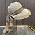 abordables Sombreros de fiesta-Sombreros Acrílico / Algodón Hebra Sombrero de copa Sombrero para el sol Casual Festivos Elegante Vintage Con Pajarita Color Puro Celada Sombreros