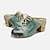 ieftine Flip-Flops de Damă-Pentru femei Sandale Papuci Saboți Mărime Plus Size Pantofi lucrați manual În aer liber Zilnic Plajă Ținte Blocați călcâiul Vârf rotund Epocă Casual Confortabili Plimbare Piele Premium Loafer Verde