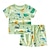 preiswerte Sets-2 Stück Baby Jungen T-Shirt &amp; Shorts Outfit Karikatur Kurzarm Baumwolle Set Outdoor Modisch Täglich Sommer Frühling 3-7 Jahre Weiß Champagner Gelb