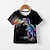 cheap Tops-Boys 3D Animal Dinosaur Tee Black Short Sleeve 3D Print Summer Active Daily Party Polyester Kids Toddler Big Kids(7years +) 3-12 Years Crew Neck Party Outdoor Casual
