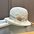 Χαμηλού Κόστους Fascinators-Γοητευτικά Καπέλα Καλύμματα Κεφαλής Τούλι Ακρυλικό / Βαμβάκι Τύπου bucket Ρεπούμπλικα Ψάθινο καπέλο Causal Αργίες Κομψό Βίντατζ Με Τεχνητό διαμάντι Φτερό Ακουστικό Καπέλα