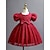 cheap Dresses-Toddler Girls&#039; Party Dress Graphic Short Sleeve Anniversary Christmas Cute Princess Polyester Summer Spring Fall 3-7 Years Wine