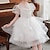 cheap Party Dresses-Kids Girls&#039; Party Dress Solid Color Sequin Short Sleeve Wedding Special Occasion Mesh Zipper Tie Knot Adorable Sweet Cotton Polyester Knee-length Party Dress Summer Spring Fall 4-12 Years White